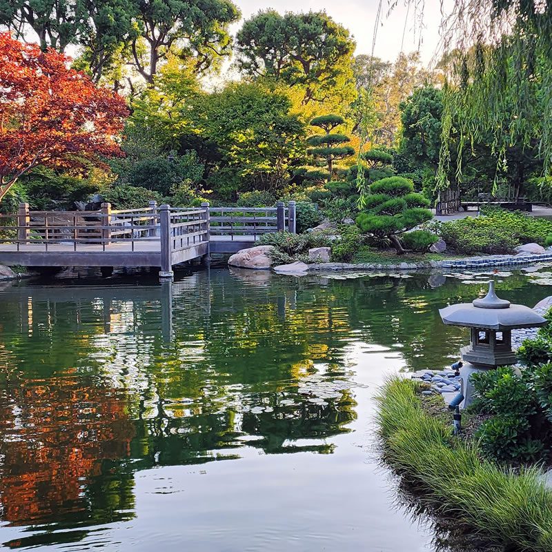 japanese-garden